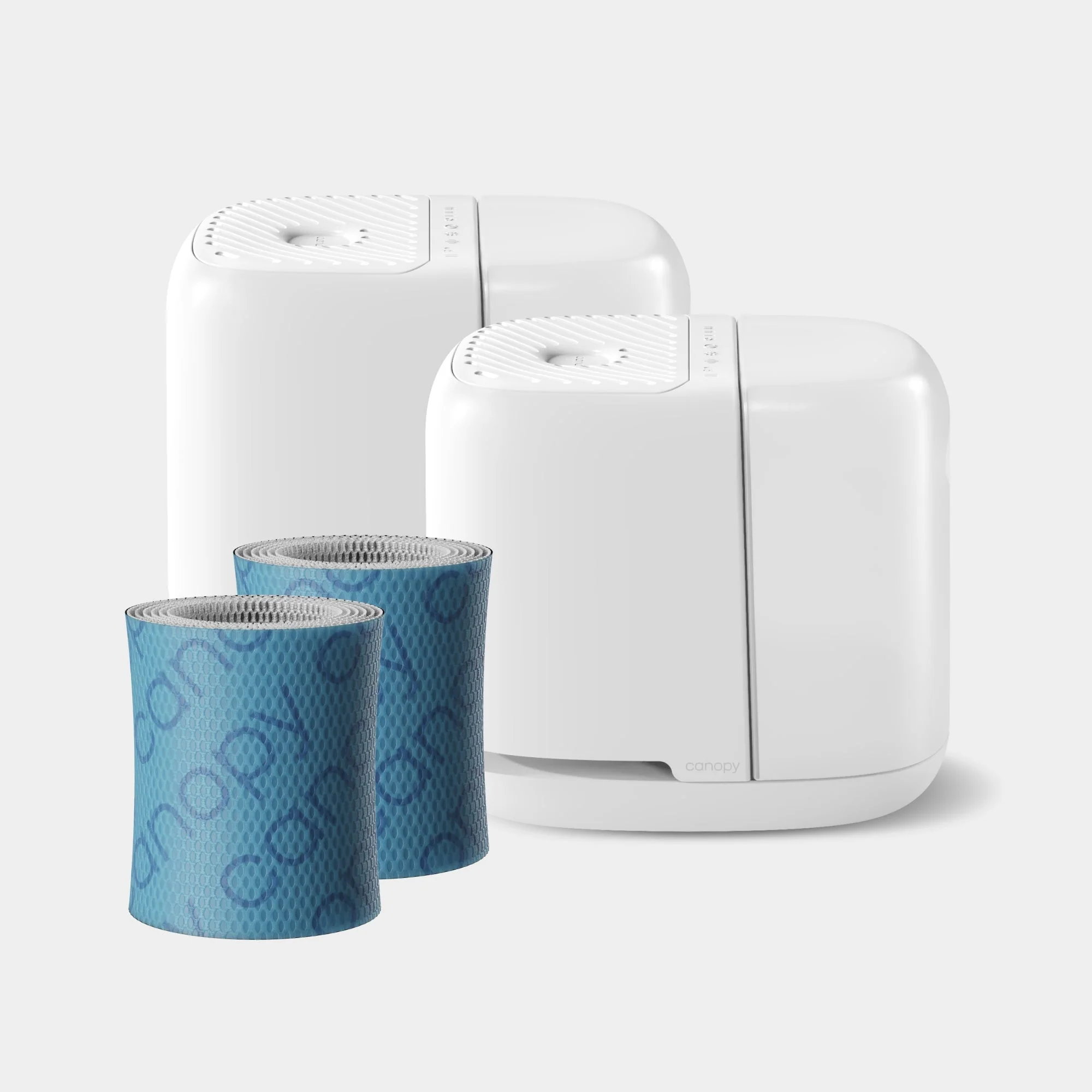 Clean Air, Radiant Skin
